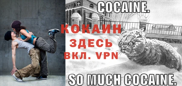 тгк Каменногорск