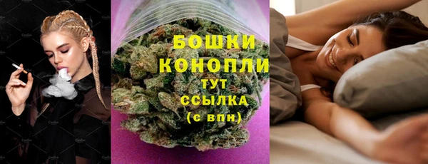 шишки Аркадак