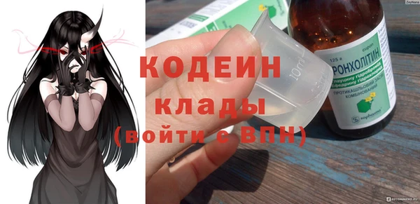 индика Алексин