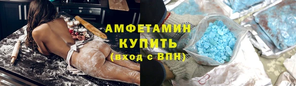 шишки Аркадак
