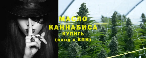 шишки Аркадак