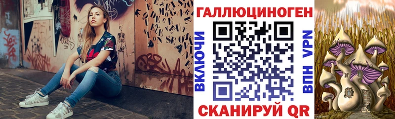 Псилоцибиновые грибы GOLDEN TEACHER  Полевской 